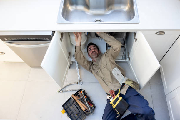 Best Plumbing Repair Near Me  in College, AK