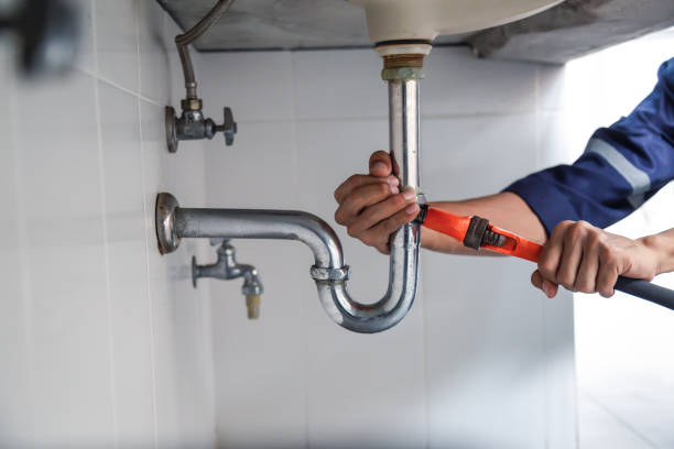 Best Affordable Plumbing Services  in College, AK