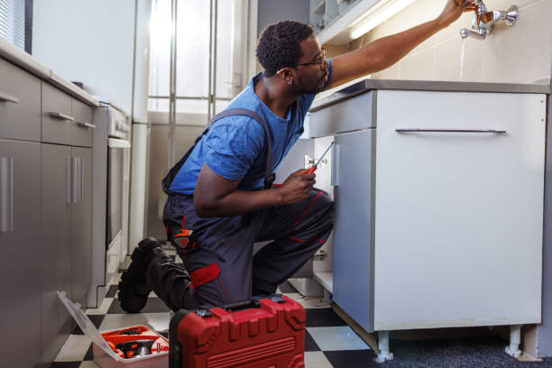 Best Local Plumber Services  in College, AK