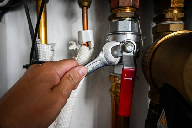 Best Hot Water Heater Installation  in College, AK